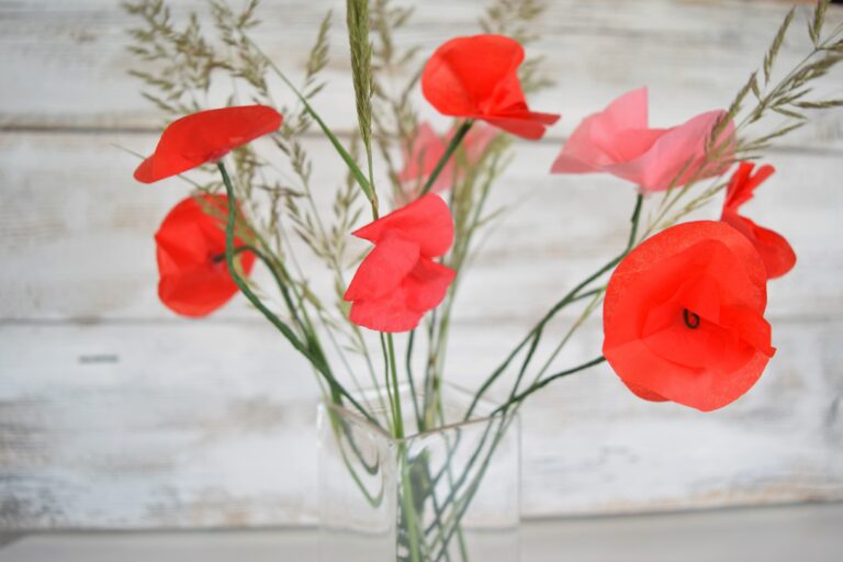 Mohnblumen DIY