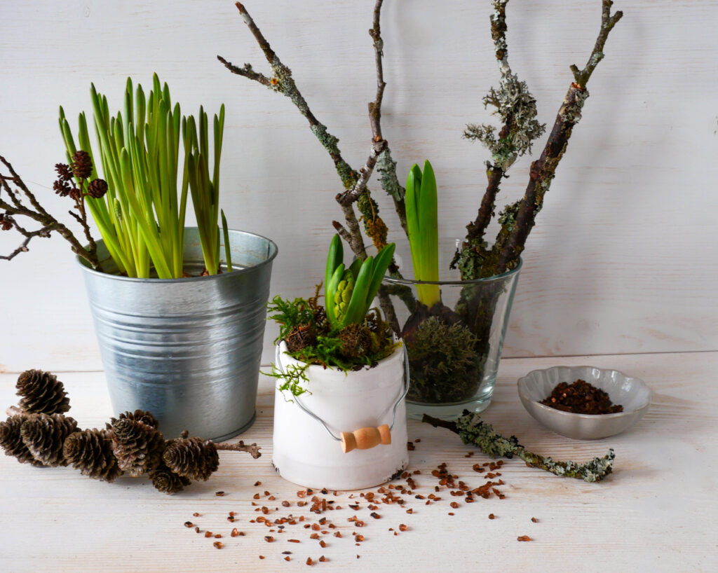 DIY mit Frühlingsblühern