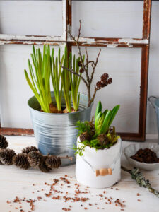 DIY mit Frühlingsblühern