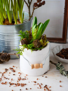 DIY mit Frühlingsblühern