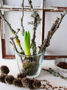 DIY mit Frühlingsblühern