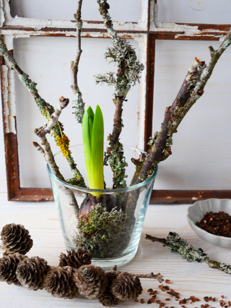 DIY mit Frühlingsblühern