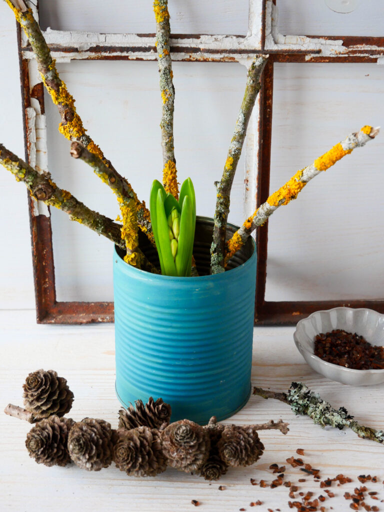 DIY mit Frühlingsblühern