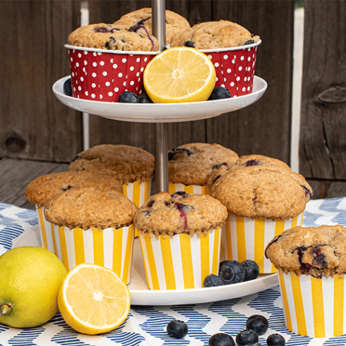 Zitronenmuffins mit Heidelbeeren -Gastbeitrag-