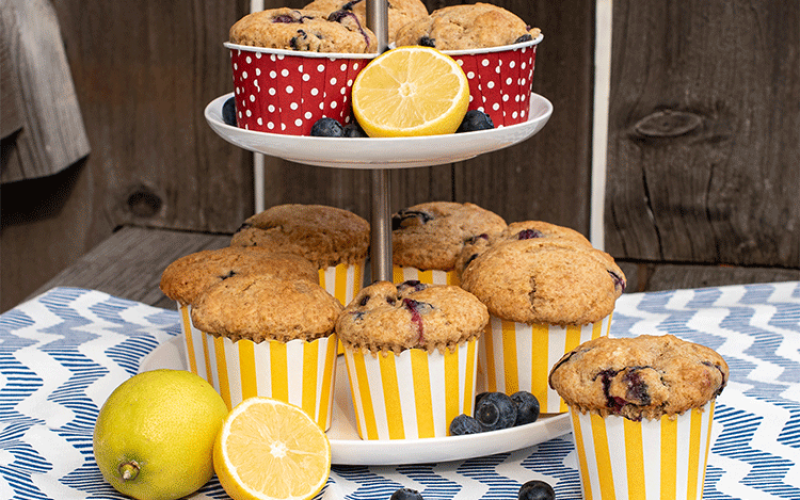 Zitronenmuffins mit Heidelbeeren -Gastbeitrag-