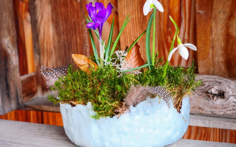 DIY Wachsschale für die Frühlingsdeko