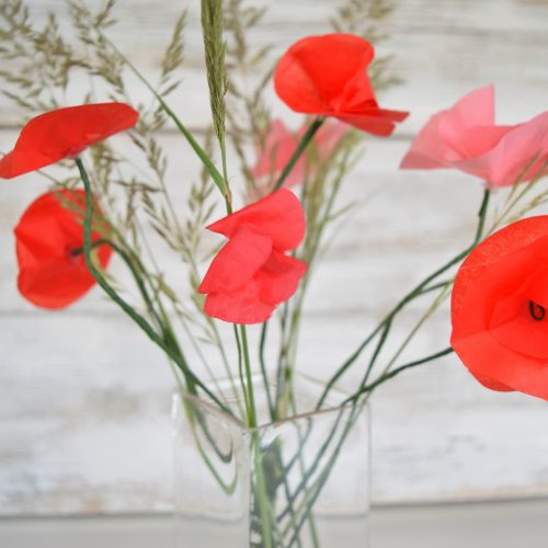 Mohnblumen DIY