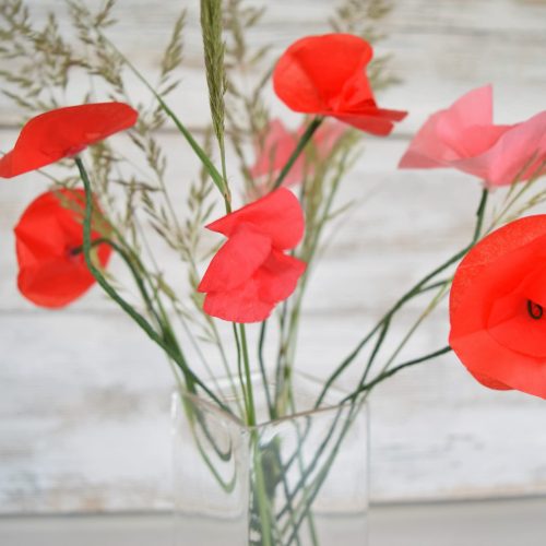 Mohnblumen DIY