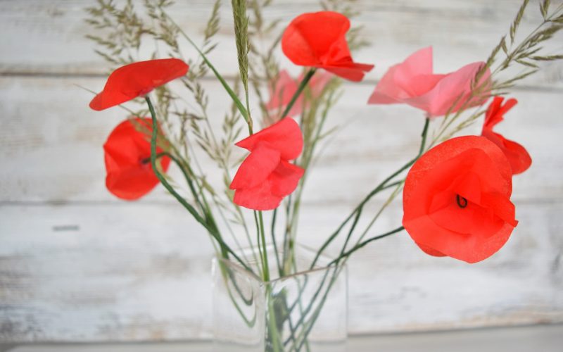 Mohnblumen DIY